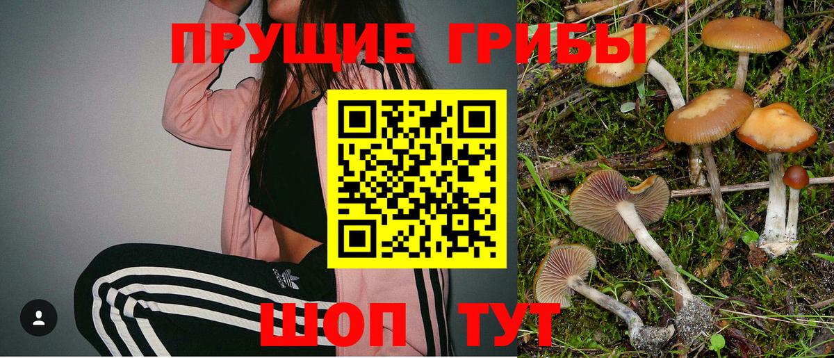 Псилоцибиновые грибы MAGIC MUSHROOMS  Галлюциногенные грибы Psilocybine cubensis  Вход с VPN  Балтийск 