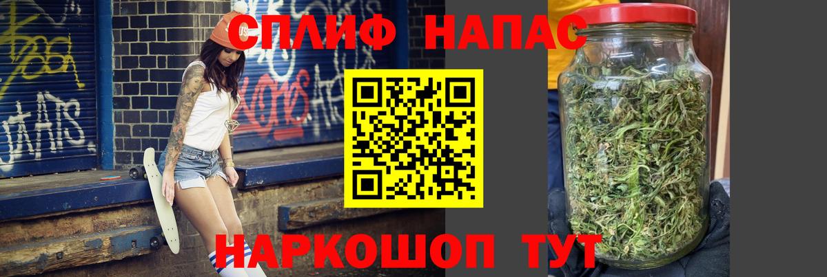 Конопля планчик Балтийск